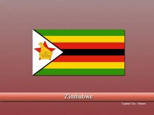 Vastu specialist in Zimbabwe